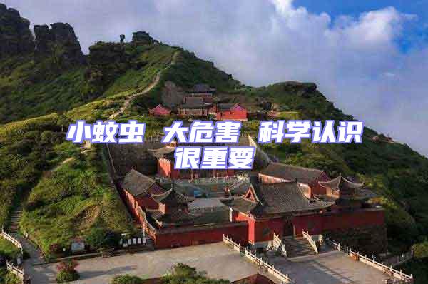 小蚊蟲 大危害 科學(xué)認(rèn)識(shí)很重要