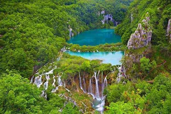 深圳殺蟲公司 怎么名利雙收!這才是飛蟲控制