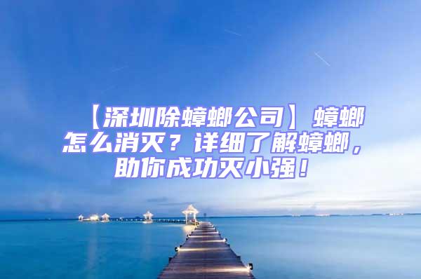 【深圳除蟑螂公司】蟑螂怎么消滅？詳細了解蟑螂，助你成功滅小強！