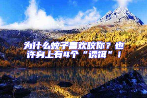 為什么蚊子喜歡咬你？也許身上有4個“誘餌”！