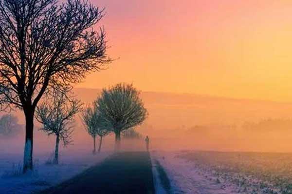 深圳白蟻防治：白蟻比較喜歡食松木、夾板等較為松軟材質的家具