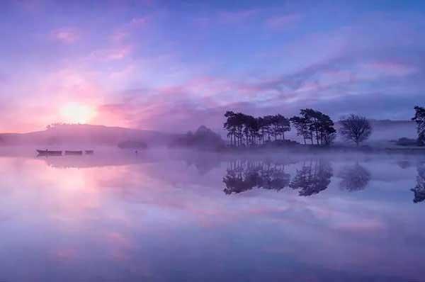 蚊類的化學防治方法是什么?