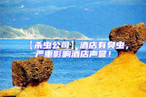 【殺蟲公司】酒店有臭蟲，嚴重影響酒店聲譽！