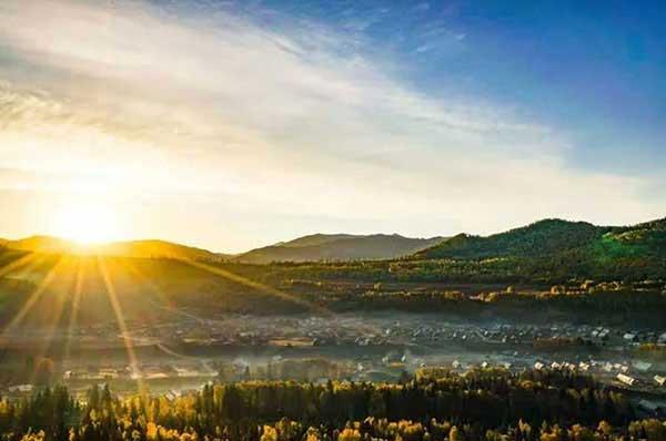 殺蟲公司施工程序