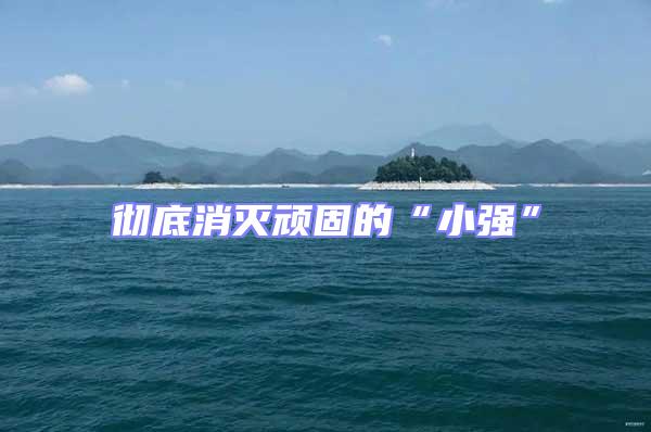 徹底消滅頑固的“小強”