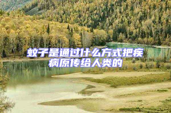 蚊子是通過(guò)什么方式把疾病原傳給人類(lèi)的