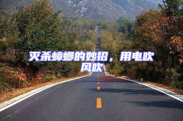 滅殺蟑螂的妙招,用電吹風(fēng)吹