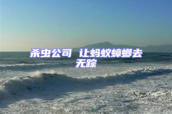 殺蟲(chóng)公司 讓螞蟻蟑螂去無(wú)蹤