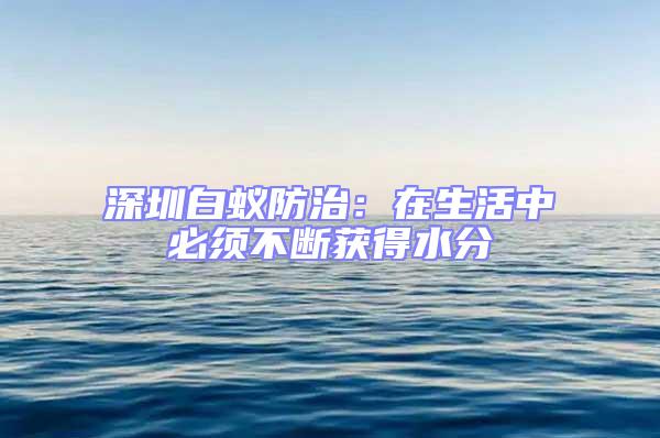 深圳白蟻防治:在生活中必須不斷獲得水分