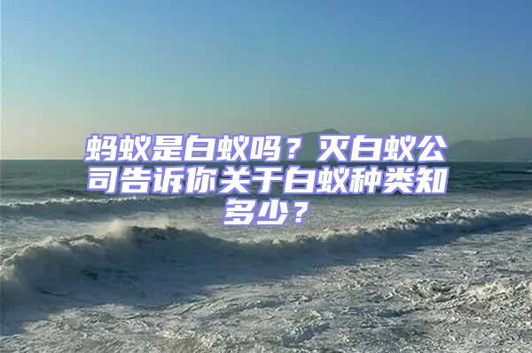 螞蟻是白蟻嗎?滅白蟻公司告訴你關(guān)于白蟻種類知多少?
