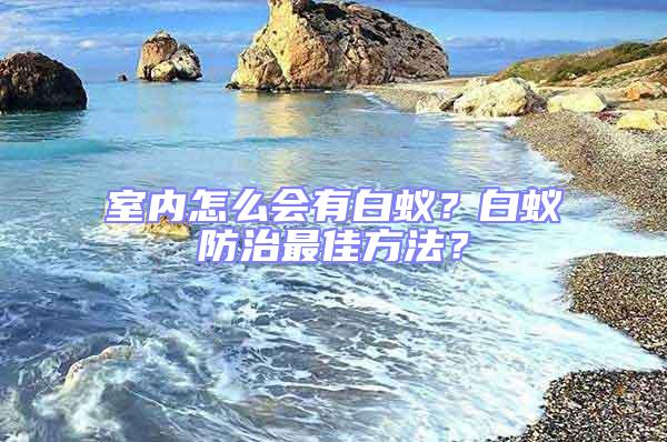 室內怎么會有白蟻?白蟻防治最佳方法?
