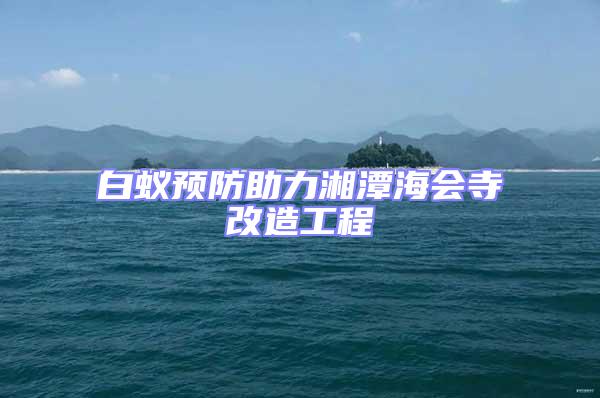 白蟻預(yù)防助力湘潭海會寺改造工程