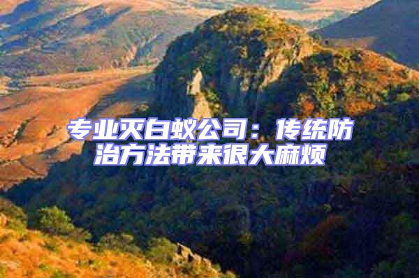 專業滅白蟻公司：傳統防治方法帶來很大麻煩