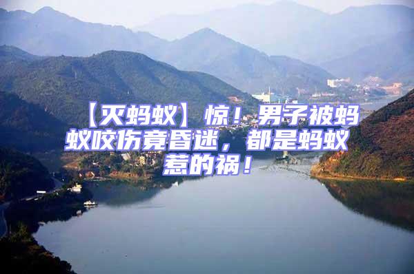 【滅螞蟻】驚！男子被螞蟻咬傷竟昏迷，都是螞蟻惹的禍！