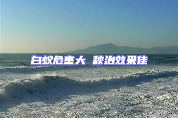 白蟻危害大 秋治效果佳