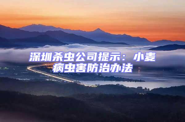 深圳殺蟲公司提示:小麥病蟲害防治辦法