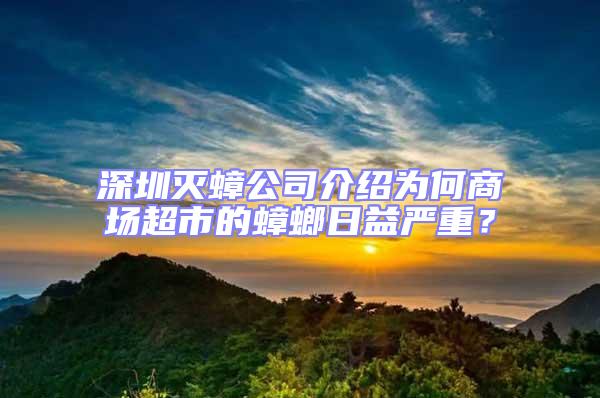 深圳滅蟑公司介紹為何商場超市的蟑螂日益嚴重？