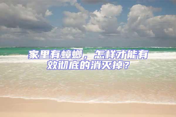 家里有蟑螂，怎樣才能有效徹底的消滅掉？