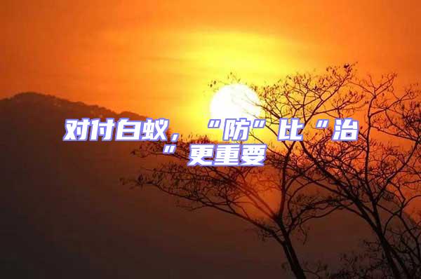 對付白蟻,“防”比“治”更重要