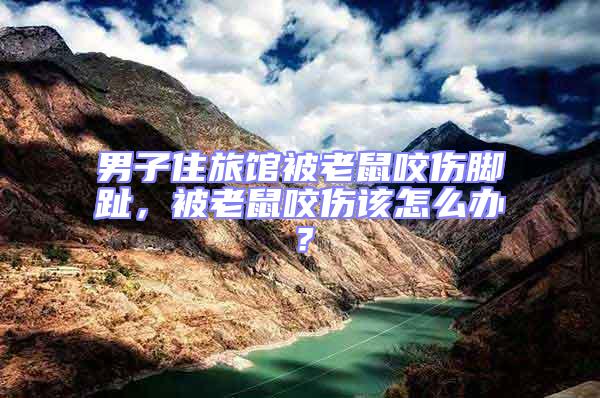 男子住旅館被老鼠咬傷腳趾,被老鼠咬傷該怎么辦?