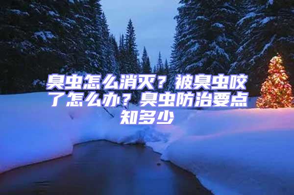 臭蟲(chóng)怎么消滅?被臭蟲(chóng)咬了怎么辦?臭蟲(chóng)防治要點(diǎn)知多少
