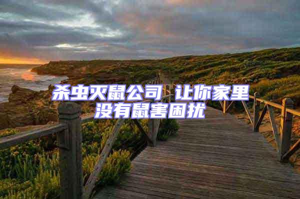 殺蟲滅鼠公司 讓你家里沒有鼠害困擾