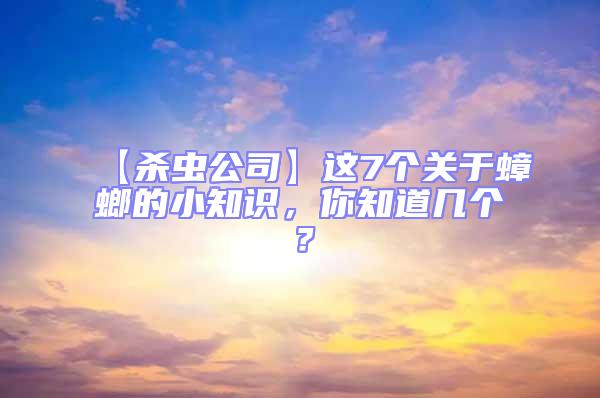 【殺蟲公司】這7個關于蟑螂的小知識，你知道幾個？