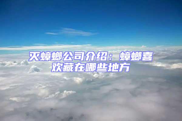 滅蟑螂公司介紹:蟑螂喜歡藏在哪些地方