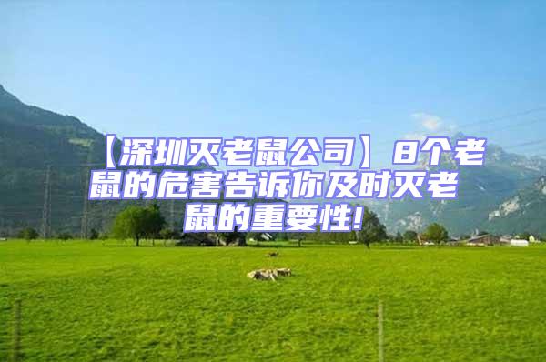 【深圳滅老鼠公司】8個老鼠的危害告訴你及時滅老鼠的重要性!