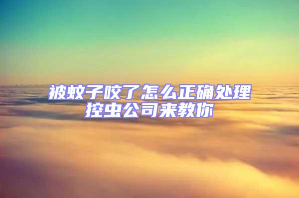 被蚊子咬了怎么正確處理控蟲(chóng)公司來(lái)教你