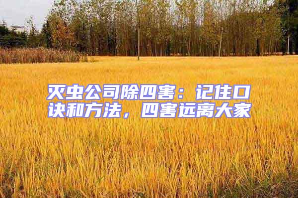 滅蟲公司除四害：記住口訣和方法，四害遠離大家