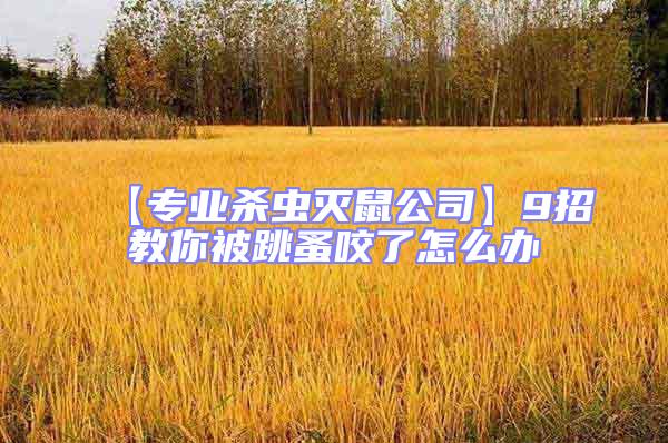 【專(zhuān)業(yè)殺蟲(chóng)滅鼠公司】9招教你被跳蚤咬了怎么辦