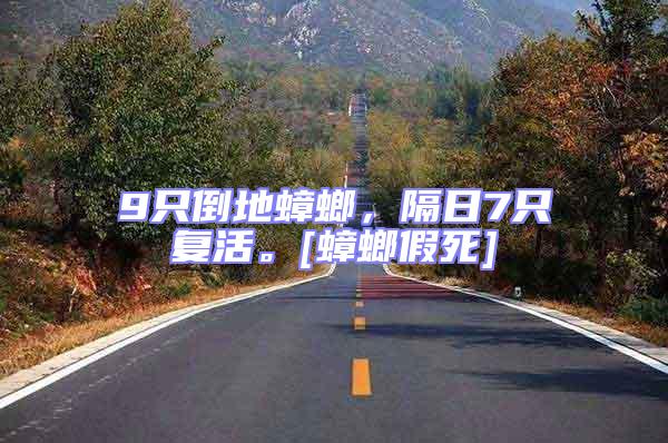 9只倒地蟑螂，隔日7只復(fù)活。[蟑螂假死]