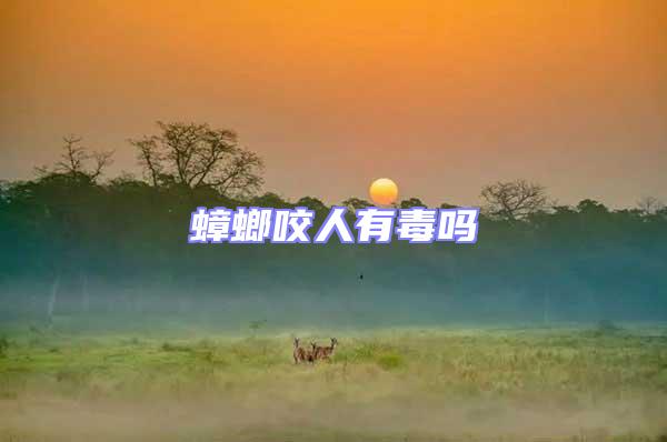 蟑螂咬人有毒嗎