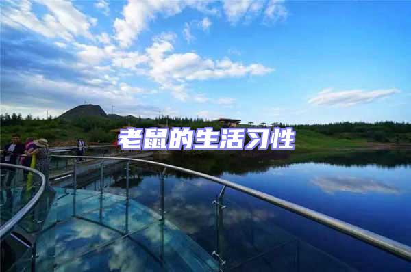 老鼠的生活習(xí)性