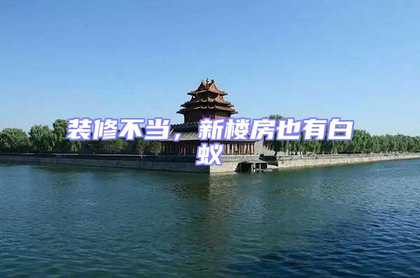 裝修不當,新樓房也有白蟻