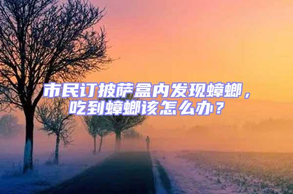市民訂披薩盒內發現蟑螂，吃到蟑螂該怎么辦？