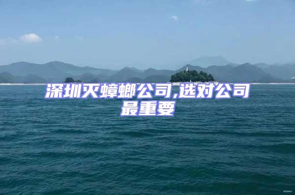 深圳滅蟑螂公司,選對公司最重要