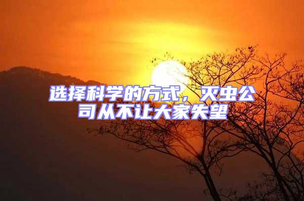 選擇科學的方式，滅蟲公司從不讓大家失望