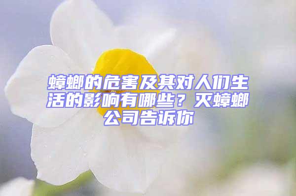 蟑螂的危害及其對人們生活的影響有哪些？滅蟑螂公司告訴你