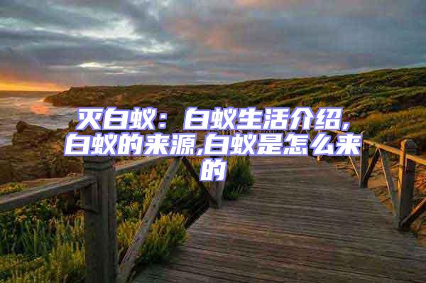 滅白蟻：白蟻生活介紹,白蟻的來源,白蟻是怎么來的