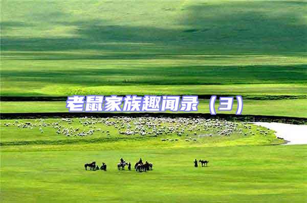 老鼠家族趣聞錄(3)
