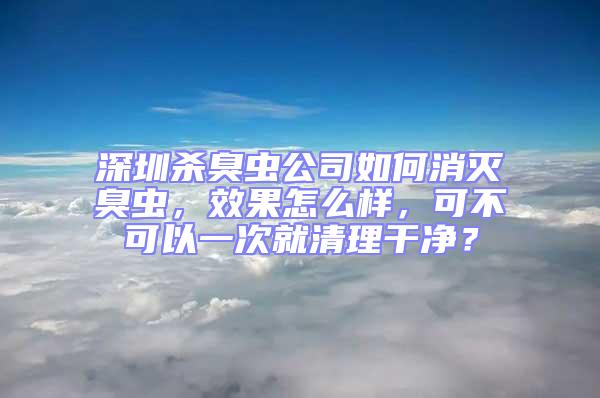 深圳殺臭蟲公司如何消滅臭蟲,效果怎么樣,可不可以一次就清理干凈?