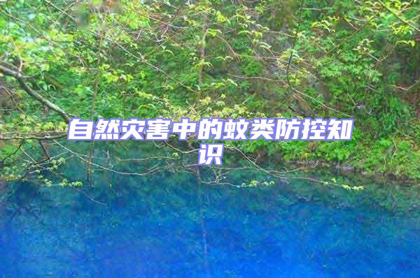 自然災(zāi)害中的蚊類(lèi)防控知識(shí)