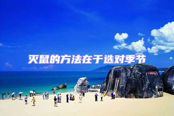 滅鼠的方法在于選對季節(jié)