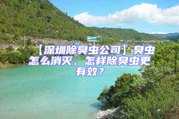 【深圳除臭蟲公司】臭蟲怎么消滅，怎樣除臭蟲更有效？