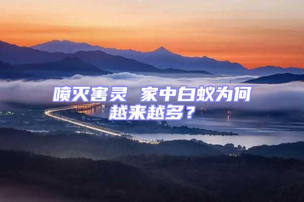 噴滅害靈 家中白蟻為何越來越多?