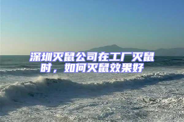 深圳滅鼠公司在工廠滅鼠時，如何滅鼠效果好