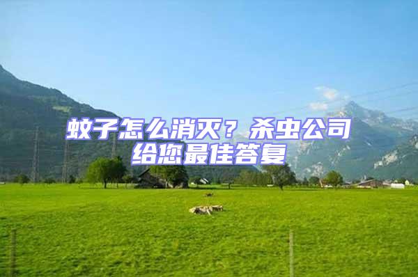 蚊子怎么消滅？殺蟲公司給您最佳答復