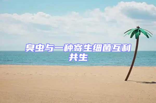 臭蟲與一種寄生細(xì)菌互利共生